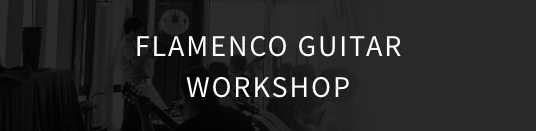 Flamenco Guitar Workshop